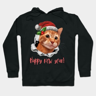 merry catmas Hoodie